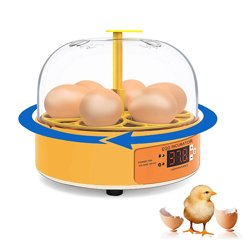 Quail Egg Incubator - Brutkasten für Hühner, Enten und Gänse