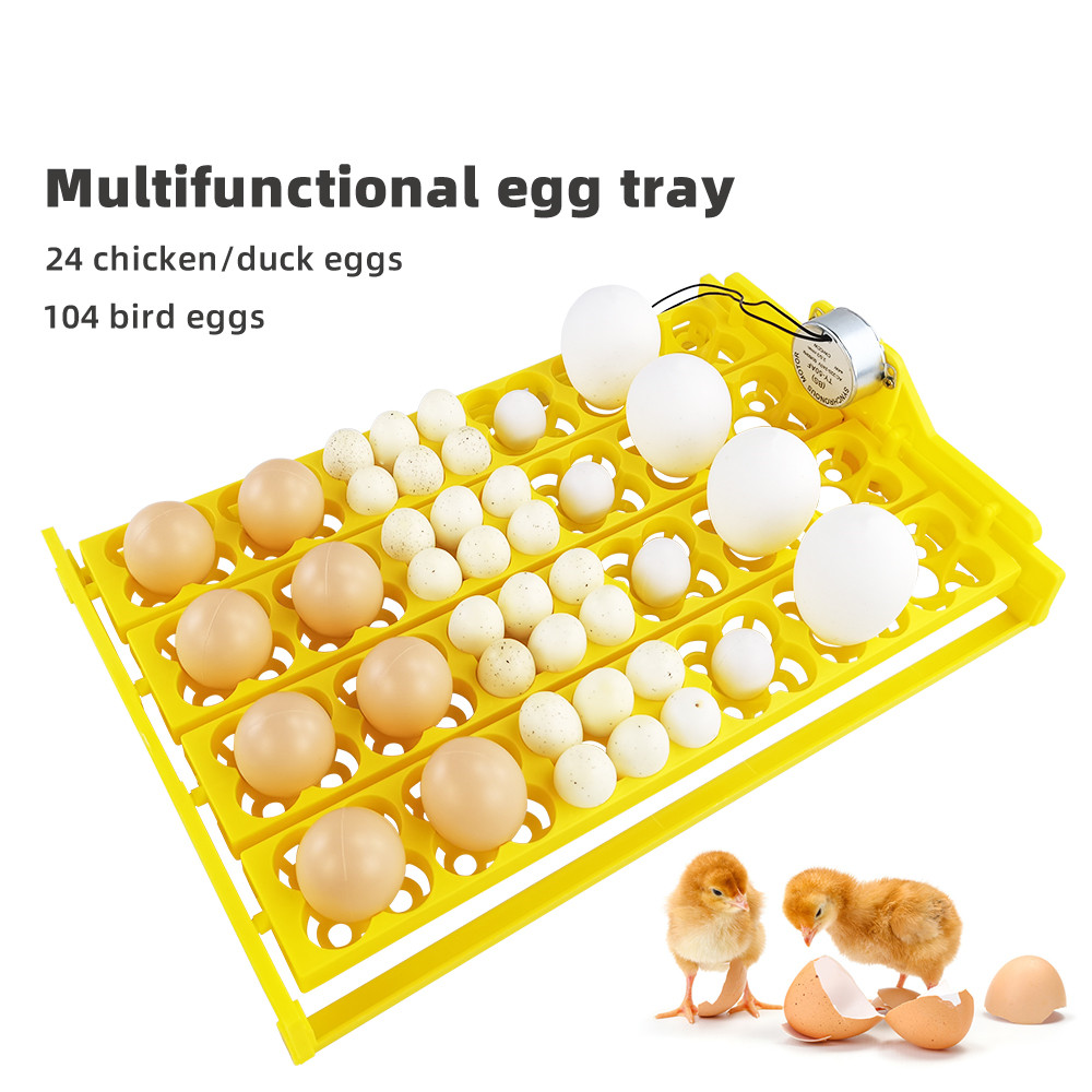 Quail Egg Incubator - 24 stücke Eier Inkubator Tablett Automatische