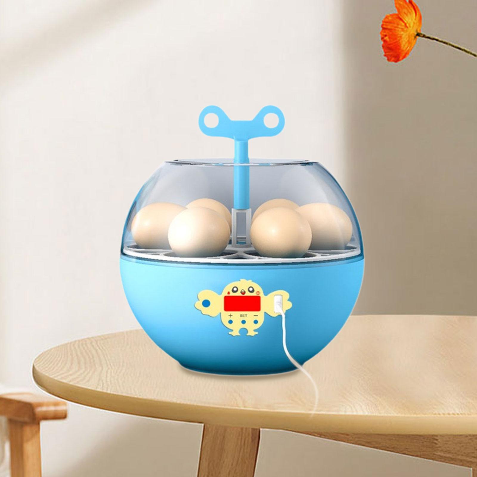 Quail Egg Incubator - 6-Eier-Inkubator Mini Sichtbarer Brutapparat für Geflügel