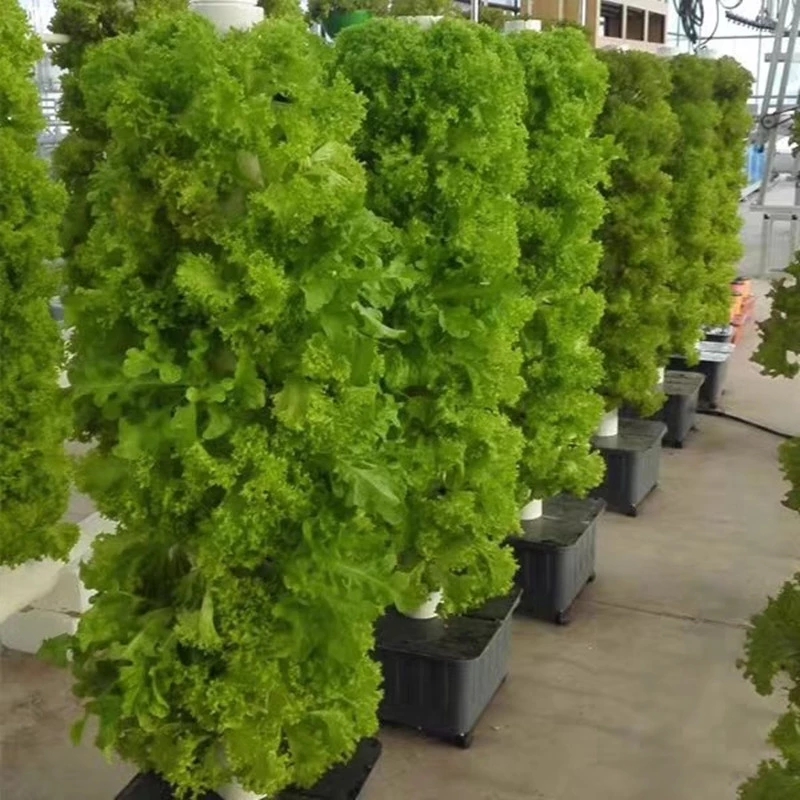 Hydroponic Farming Agriculture - Vertikales hydro po nisches Anbaus ystem
