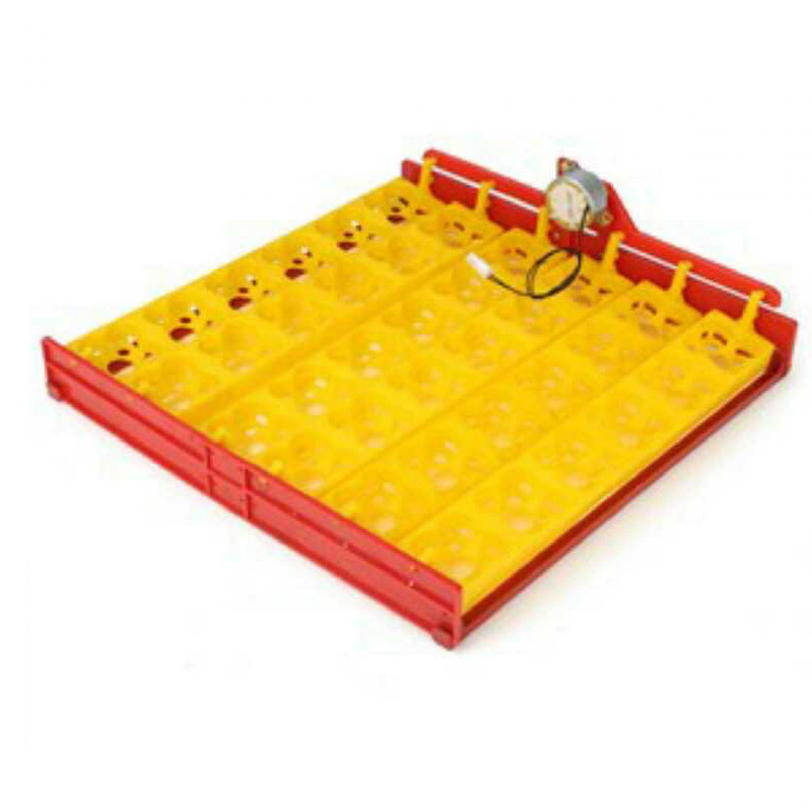 Quail Egg Incubator - Eierinkubator-Schale aus Kunststoff mit automatischem Wendemotor,