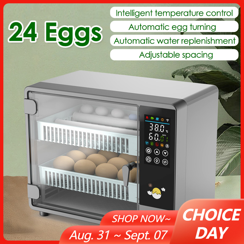 24-Eier-Vollautomatik-Inkubato – Quail Egg Incubator Bewertung und Preis