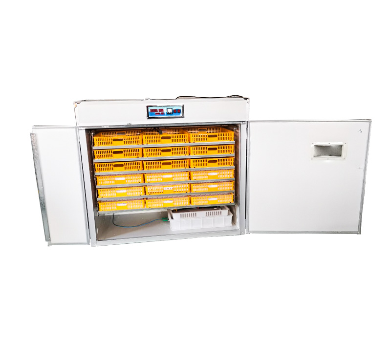 Steuergerät für Vollautomatisc – Quail Egg Incubator Bewertung und Preis