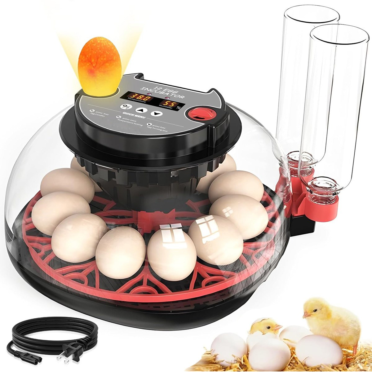 12-Eier-Inkubator mit automati – Quail Egg Incubator Bewertung und Preis