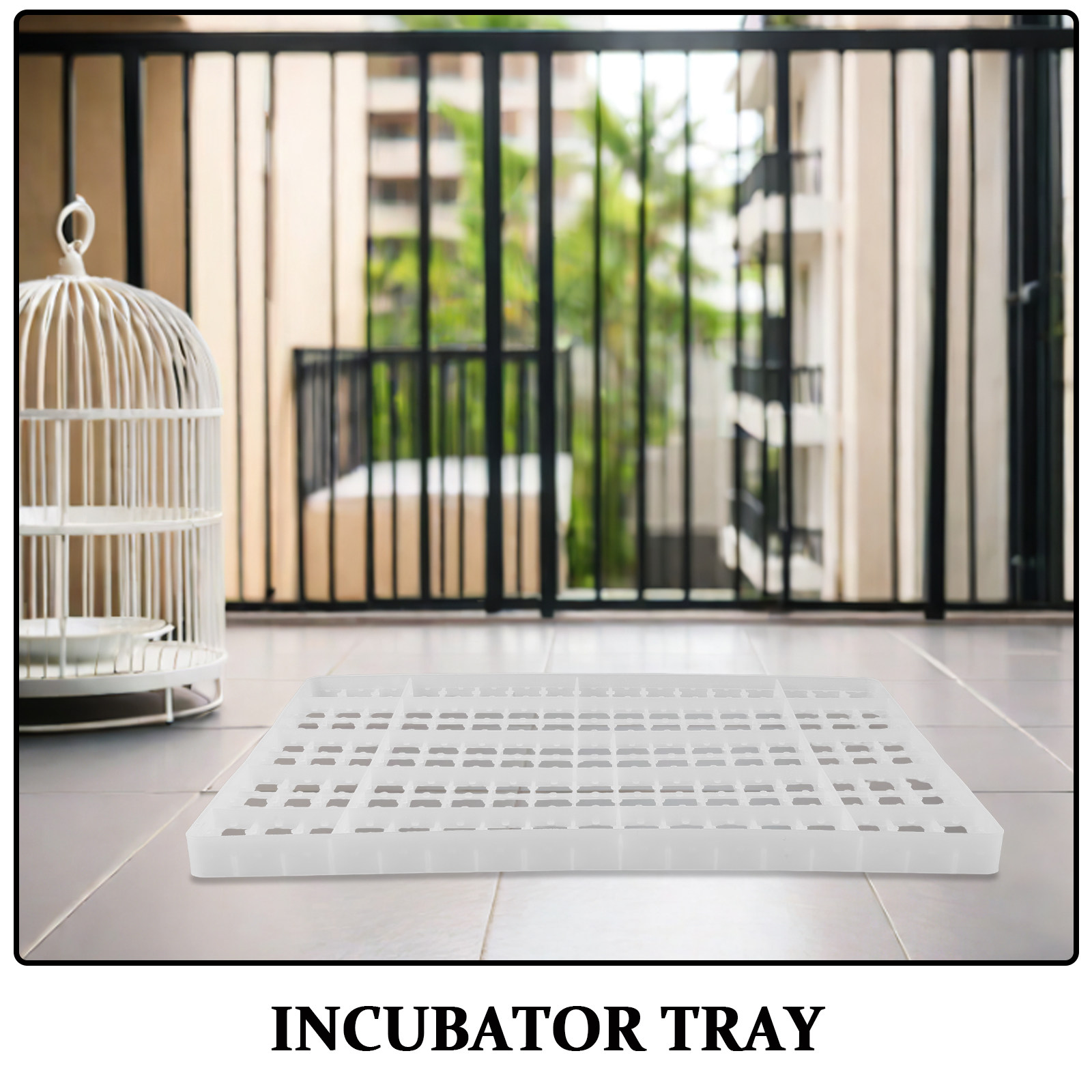 2 Stück Eierinkubator-Gitterpl – Quail Egg Incubator Bewertung und Preis