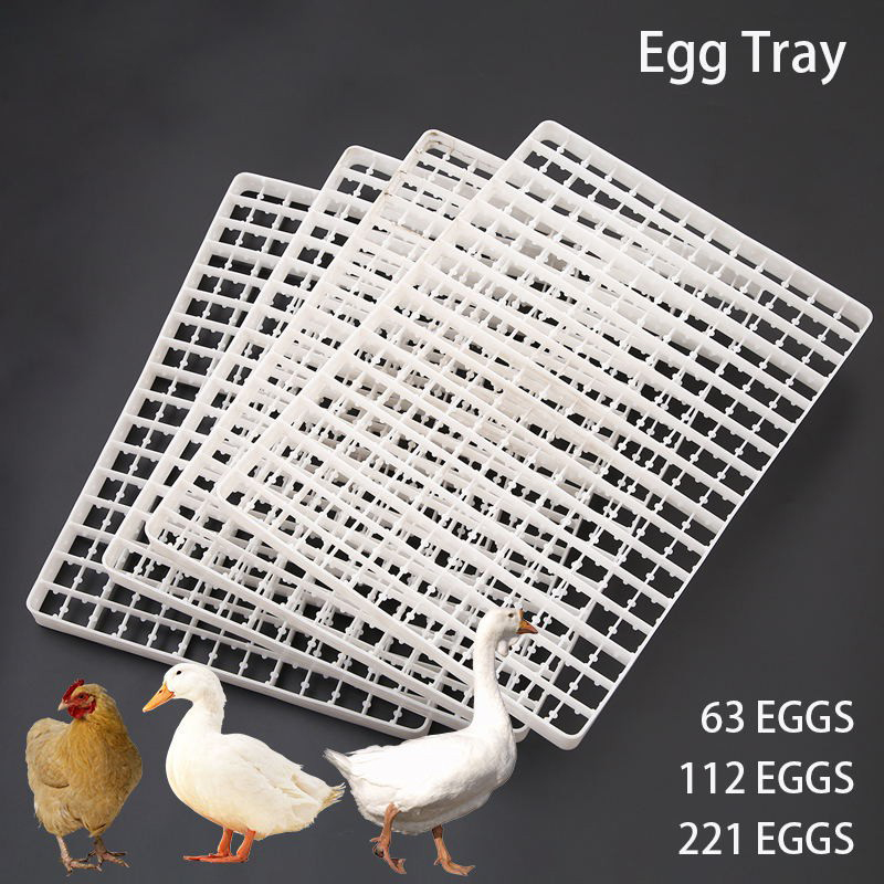 1 Stück Eier ablage für Inkuba – Quail Egg Incubator Bewertung und Preis