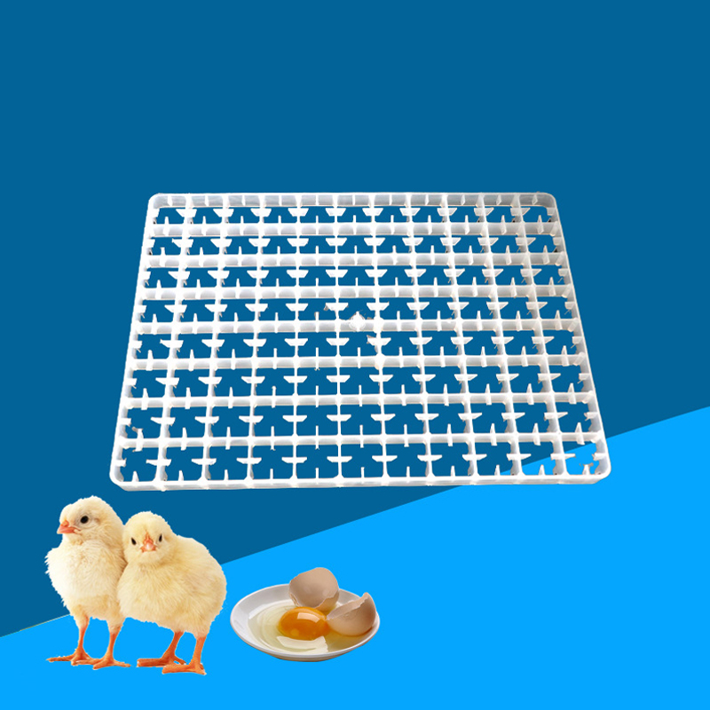 1 Stück Eier ablage für Inkuba – Quail Egg Incubator Bewertung und Preis