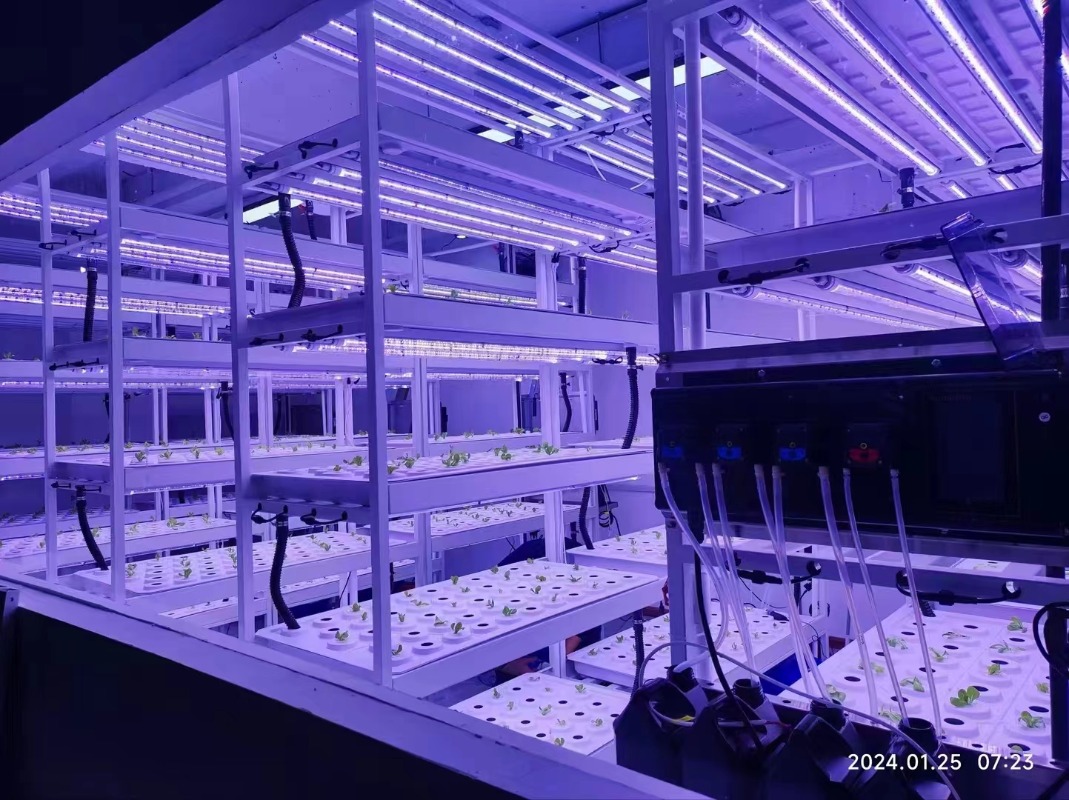 Kleines Vertikales Hydroponisc – Hydroponic Farming Agriculture Bewertung und Preis