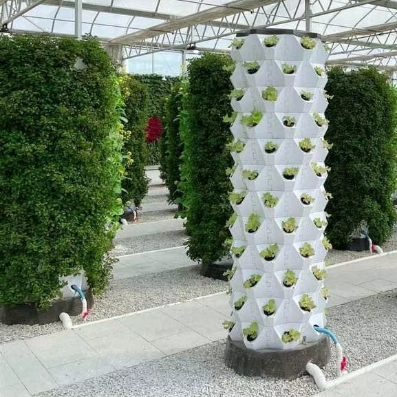 Verbesserte Indoor-Farming- un – Hydroponic Farming Agriculture Bewertung und Preis