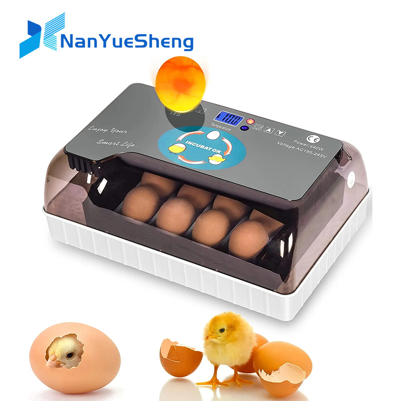 Automatische HHD beste digital – Quail Egg Incubator Bewertung und Preis