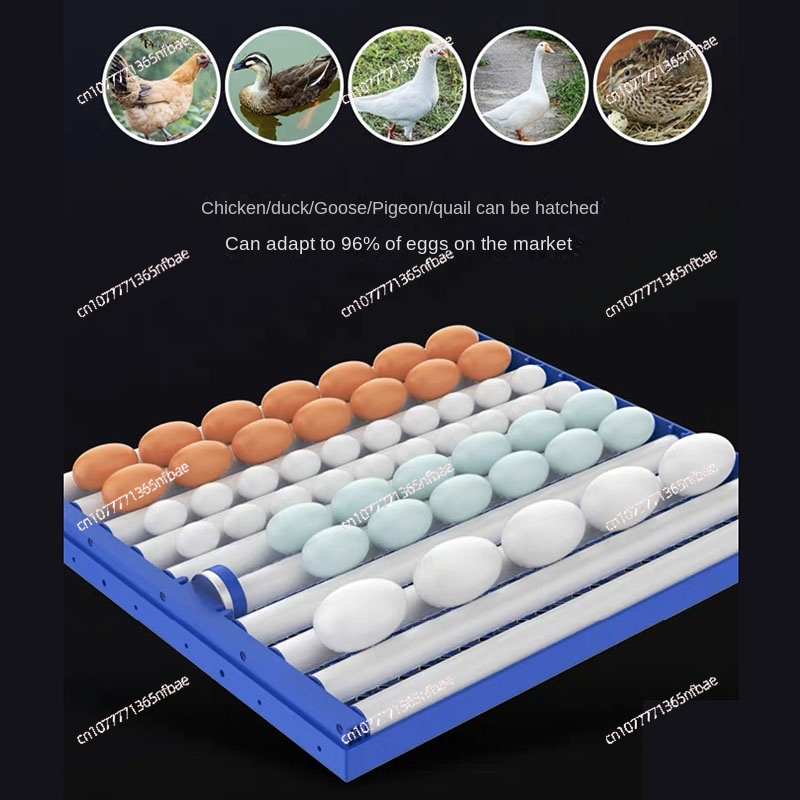 0528204/136 Intelligenter Brut – Quail Egg Incubator Bewertung und Preis