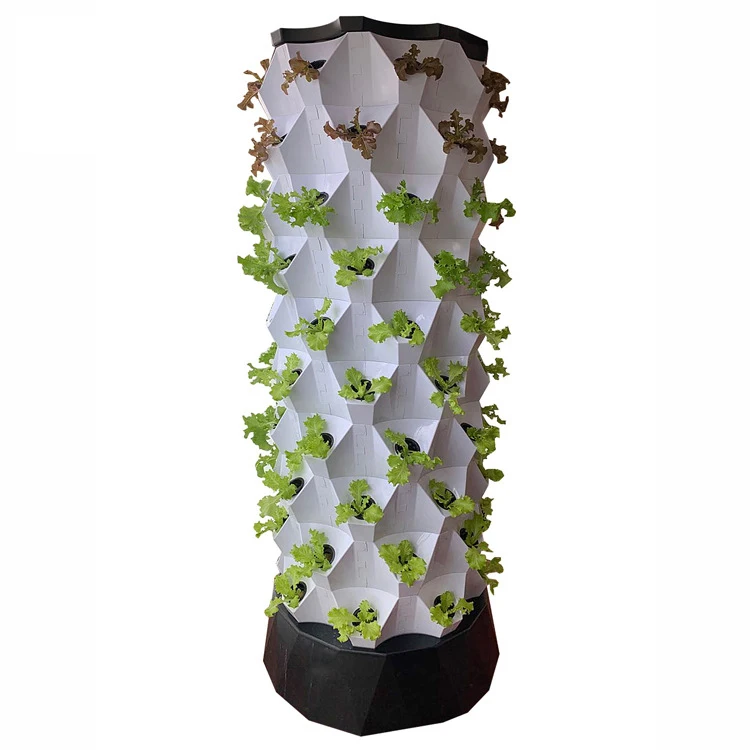 Landwirtschaftliche Gewächshäu – Agriculture Vertical Farming Bewertung und Preis