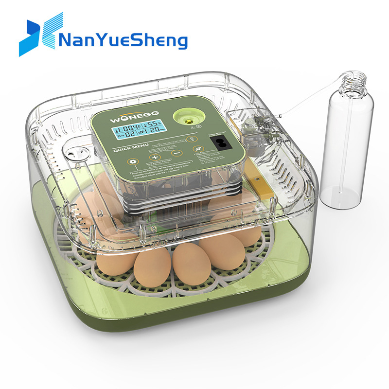 Neue 12-Küken-Ei-Brutmaschine, – Quail Egg Incubator Bewertung und Preis