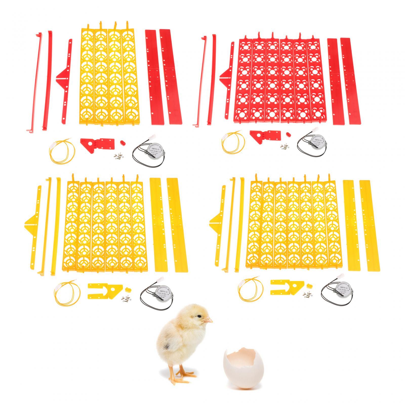 Eierinkubator-Schale aus Kunst – Quail Egg Incubator Bewertung und Preis